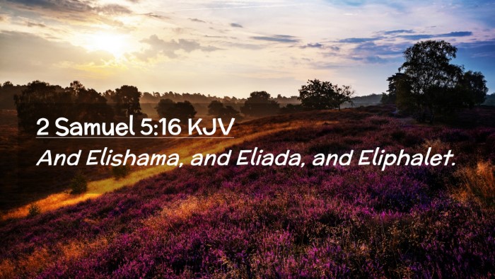 Picture 02 - 2 Samuel 5:16 KJV Desktop Wallpaper - And Elishama, and Eliada, and - Desktop Bible Verse Wallpaper