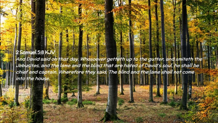 Picture 02 - 2 Samuel 5:8 KJV Desktop Wallpaper - And David said on that day, Whosoever getteth up - Desktop Bible Verse Wallpaper