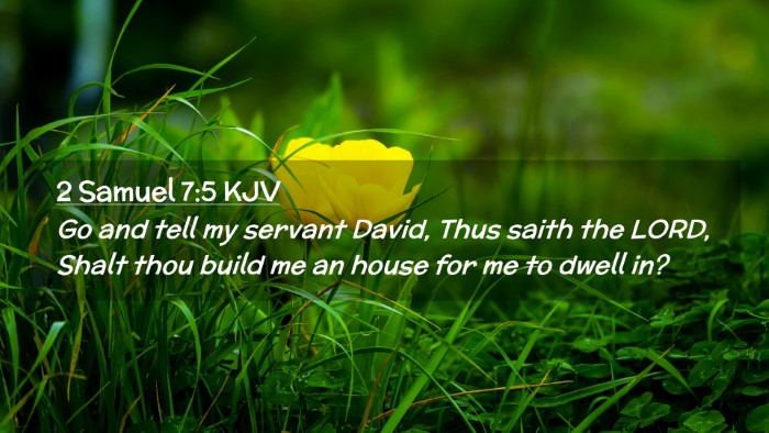 Picture 02 - 2 Samuel 7:5 KJV Desktop Wallpaper - Go and tell my servant David, Thus saith the - Desktop Bible Verse Wallpaper