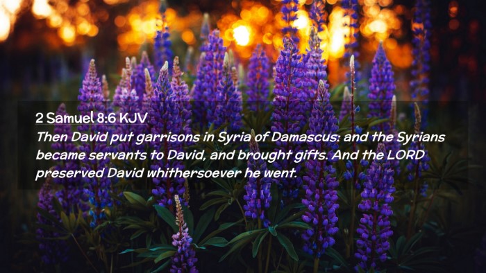Picture 02 - 2 Samuel 8:6 KJV Desktop Wallpaper - Then David put garrisons in Syria of Damascus: - Desktop Bible Verse Wallpaper