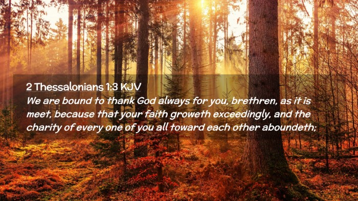 Picture 02 - 2 Thessalonians 1:3 KJV Desktop Wallpaper - We are bound to thank God always for you, - Desktop Bible Verse Wallpaper