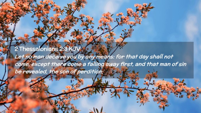 Picture 02 - 2 Thessalonians 2:3 KJV Desktop Wallpaper - Let no man deceive you by any means: for that day - Desktop Bible Verse Wallpaper