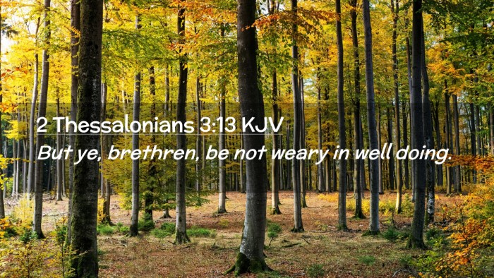 Picture 02 - 2 Thessalonians 3:13 KJV Desktop Wallpaper - But ye, brethren, be not weary in well - Desktop Bible Verse Wallpaper