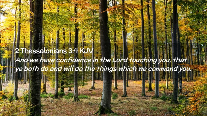 Picture 02 - 2 Thessalonians 3:4 KJV Desktop Wallpaper - And we have confidence in the Lord touching you, - Desktop Bible Verse Wallpaper