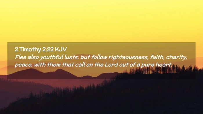 Picture 02 - 2 Timothy 2:22 KJV Desktop Wallpaper - Flee also youthful lusts: but follow - Desktop Bible Verse Wallpaper