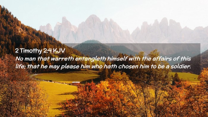 Picture 02 - 2 Timothy 2:4 KJV Desktop Wallpaper - No man that warreth entangleth himself with the - Desktop Bible Verse Wallpaper