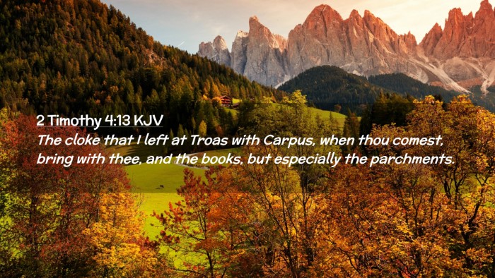 Picture 02 - 2 Timothy 4:13 KJV Desktop Wallpaper - The cloke that I left at Troas with Carpus, when - Desktop Bible Verse Wallpaper