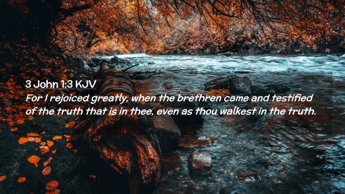 Picture 02 - 3 John 1:3 KJV Desktop Wallpaper - For I rejoiced greatly, when the brethren came - Desktop Bible Verse Wallpaper