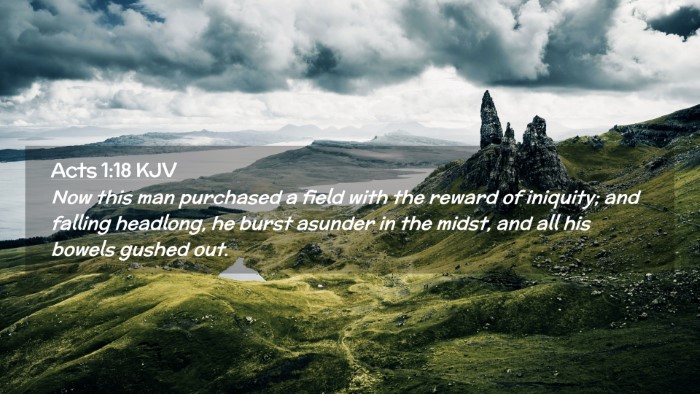 Picture 02 - Acts 1:18 KJV Desktop Wallpaper - Now this man purchased a field with the reward of - Desktop Bible Verse Wallpaper