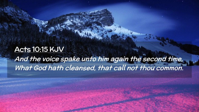 Picture 02 - Acts 10:15 KJV Desktop Wallpaper - And the voice spake unto him again the second - Desktop Bible Verse Wallpaper
