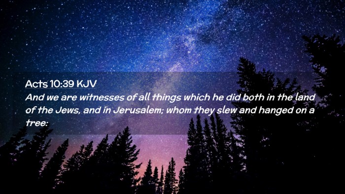 Picture 02 - Acts 10:39 KJV Desktop Wallpaper - And we are witnesses of all things which he did - Desktop Bible Verse Wallpaper