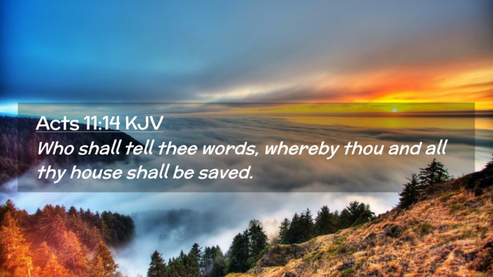 Picture 02 - Acts 11:14 KJV Desktop Wallpaper - Who shall tell thee words, whereby thou and all - Desktop Bible Verse Wallpaper