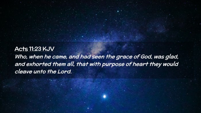 Picture 02 - Acts 11:23 KJV Desktop Wallpaper - Who, when he came, and had seen the grace of God, - Desktop Bible Verse Wallpaper