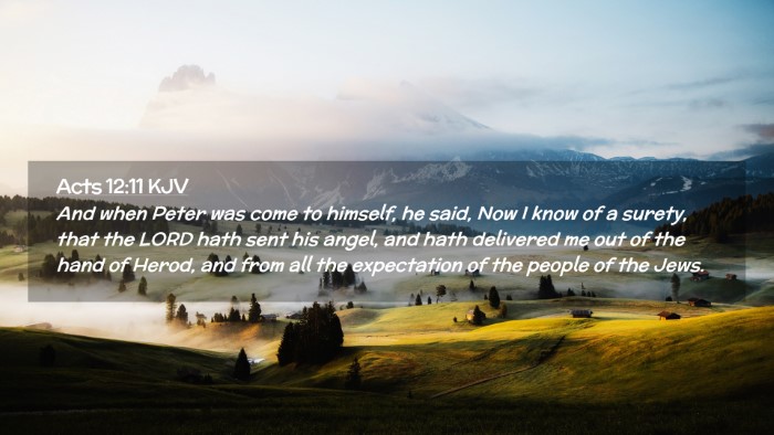 Picture 02 - Acts 12:11 KJV Desktop Wallpaper - And when Peter was come to himself, he said, Now - Desktop Bible Verse Wallpaper