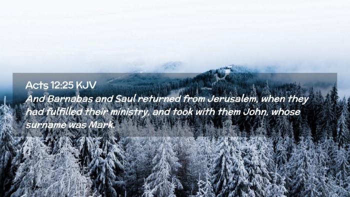 Picture 02 - Acts 12:25 KJV Desktop Wallpaper - And Barnabas and Saul returned from Jerusalem, - Desktop Bible Verse Wallpaper