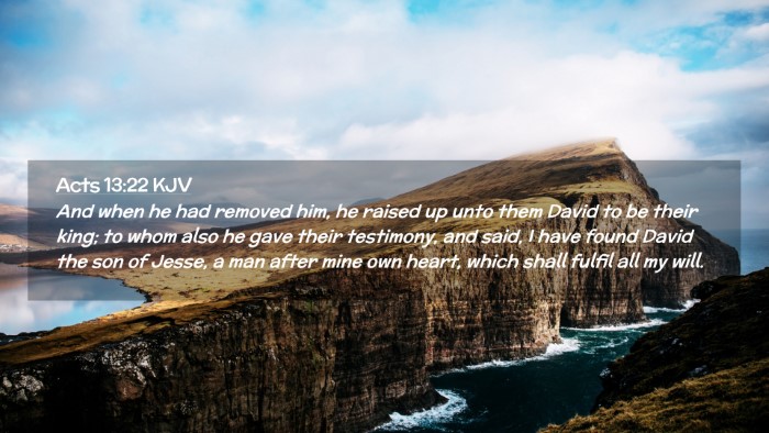 Picture 02 - Acts 13:22 KJV Desktop Wallpaper - And when he had removed him, he raised up unto - Desktop Bible Verse Wallpaper