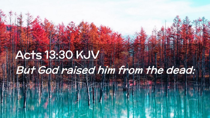 Picture 02 - Acts 13:30 KJV Desktop Wallpaper - But God raised him from the - Desktop Bible Verse Wallpaper