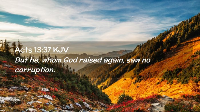 Picture 02 - Acts 13:37 KJV Desktop Wallpaper - But he, whom God raised again, saw no - Desktop Bible Verse Wallpaper