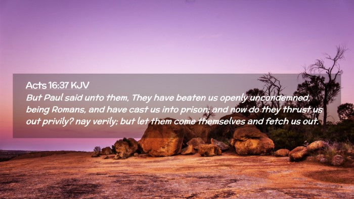 Picture 02 - Acts 16:37 KJV Desktop Wallpaper - But Paul said unto them, They have beaten us - Desktop Bible Verse Wallpaper