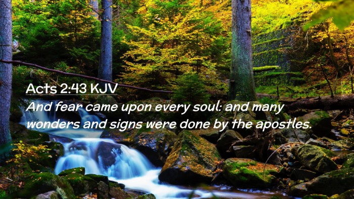 Picture 02 - Acts 2:43 KJV Desktop Wallpaper - And fear came upon every soul: and many wonders - Desktop Bible Verse Wallpaper