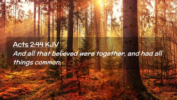 Picture 02 - Acts 2:44 KJV Desktop Wallpaper - And all that believed were together, and had all - Desktop Bible Verse Wallpaper