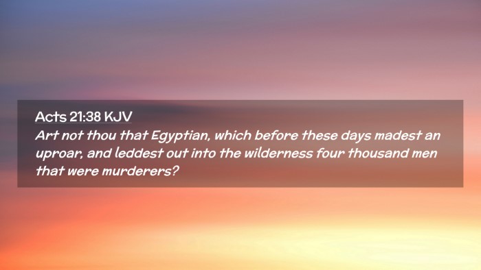 Picture 02 - Acts 21:38 KJV Desktop Wallpaper - Art not thou that Egyptian, which before these - Desktop Bible Verse Wallpaper