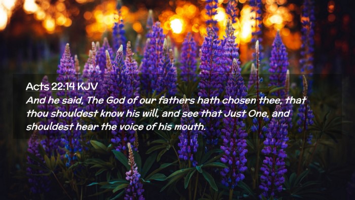 Picture 02 - Acts 22:14 KJV Desktop Wallpaper - And he said, The God of our fathers hath chosen - Desktop Bible Verse Wallpaper