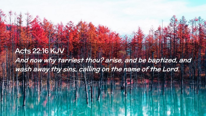 Picture 02 - Acts 22:16 KJV Desktop Wallpaper - And now why tarriest thou? arise, and be - Desktop Bible Verse Wallpaper