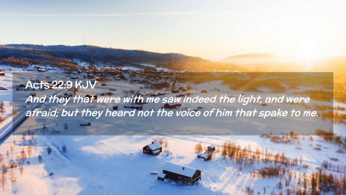 Picture 02 - Acts 22:9 KJV Desktop Wallpaper - And they that were with me saw indeed the light, - Desktop Bible Verse Wallpaper