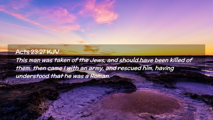 Picture 02 - Acts 23:27 KJV Desktop Wallpaper - This man was taken of the Jews, and should have - Desktop Bible Verse Wallpaper