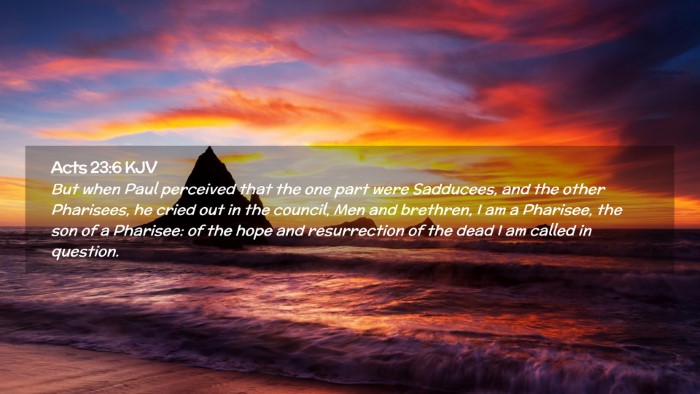 Picture 02 - Acts 23:6 KJV Desktop Wallpaper - But when Paul perceived that the one part were - Desktop Bible Verse Wallpaper