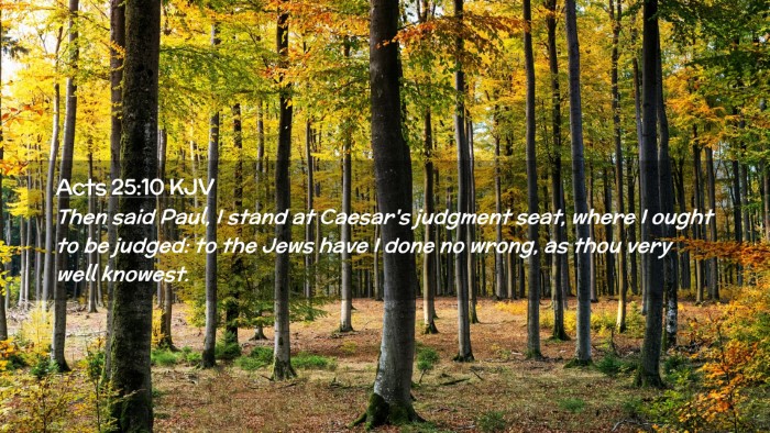 Picture 02 - Acts 25:10 KJV Desktop Wallpaper - Then said Paul, I stand at Caesar's judgment - Desktop Bible Verse Wallpaper