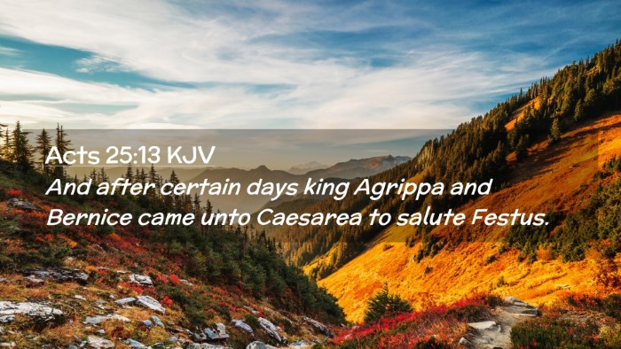Picture 02 - Acts 25:13 KJV Desktop Wallpaper - And after certain days king Agrippa and Bernice - Desktop Bible Verse Wallpaper