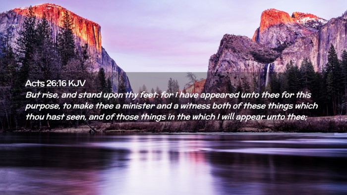 Picture 02 - Acts 26:16 KJV Desktop Wallpaper - But rise, and stand upon thy feet: for I have - Desktop Bible Verse Wallpaper