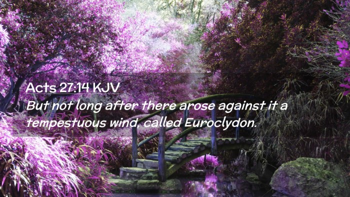 Picture 02 - Acts 27:14 KJV Desktop Wallpaper - But not long after there arose against it a - Desktop Bible Verse Wallpaper