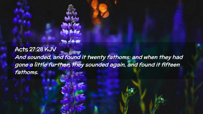 Picture 02 - Acts 27:28 KJV Desktop Wallpaper - And sounded, and found it twenty fathoms: and - Desktop Bible Verse Wallpaper