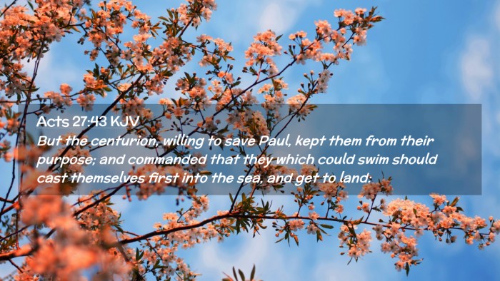 Picture 02 - Acts 27:43 KJV Desktop Wallpaper - But the centurion, willing to save Paul, kept - Desktop Bible Verse Wallpaper