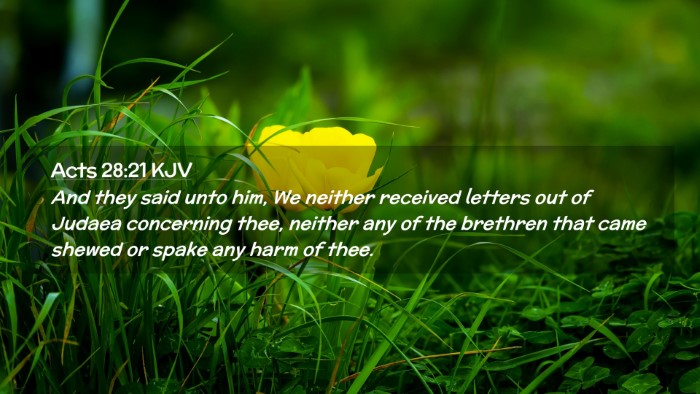 Picture 02 - Acts 28:21 KJV Desktop Wallpaper - And they said unto him, We neither received - Desktop Bible Verse Wallpaper