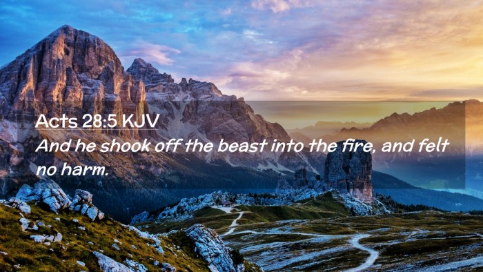 Picture 02 - Acts 28:5 KJV Desktop Wallpaper - And he shook off the beast into the fire, and - Desktop Bible Verse Wallpaper