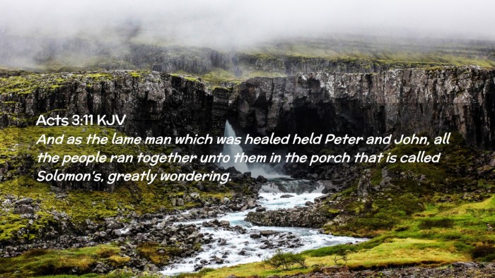 Picture 02 - Acts 3:11 KJV Desktop Wallpaper - And as the lame man which was healed held Peter - Desktop Bible Verse Wallpaper