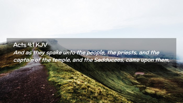 Picture 02 - Acts 4:1 KJV Desktop Wallpaper - And as they spake unto the people, the priests, - Desktop Bible Verse Wallpaper