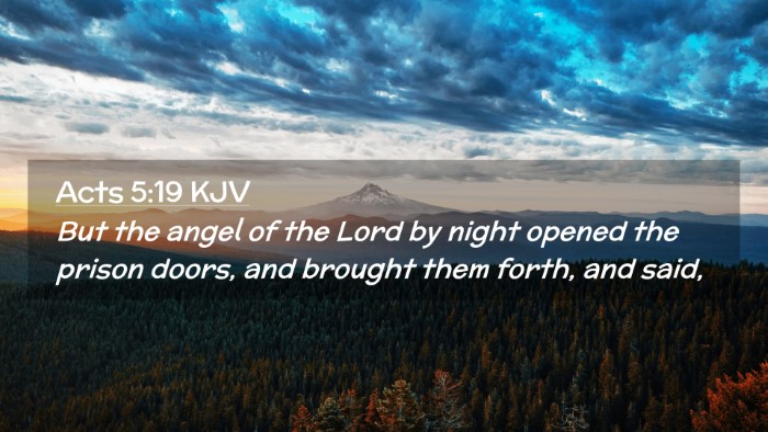 Picture 02 - Acts 5:19 KJV Desktop Wallpaper - But the angel of the Lord by night opened the - Desktop Bible Verse Wallpaper