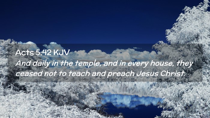 Picture 02 - Acts 5:42 KJV Desktop Wallpaper - And daily in the temple, and in every house, they - Desktop Bible Verse Wallpaper