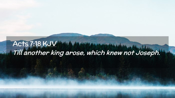 Picture 02 - Acts 7:18 KJV Desktop Wallpaper - Till another king arose, which knew not - Desktop Bible Verse Wallpaper