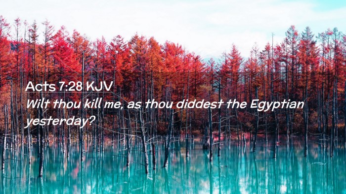 Picture 02 - Acts 7:28 KJV Desktop Wallpaper - Wilt thou kill me, as thou diddest the Egyptian - Desktop Bible Verse Wallpaper