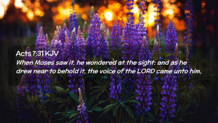 Picture 02 - Acts 7:31 KJV Desktop Wallpaper - When Moses saw it, he wondered at the sight: and - Desktop Bible Verse Wallpaper