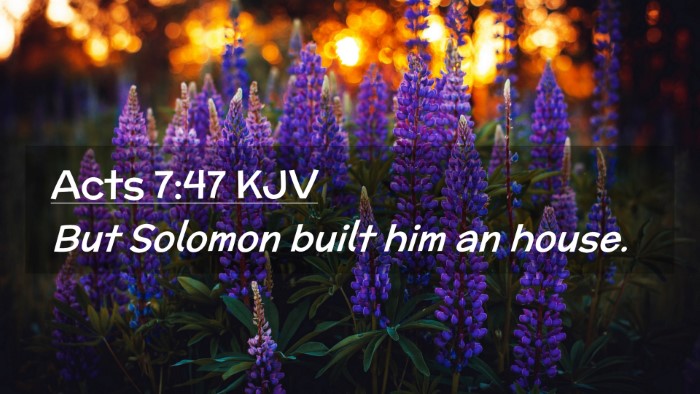 Picture 02 - Acts 7:47 KJV Desktop Wallpaper - But Solomon built him an - Desktop Bible Verse Wallpaper