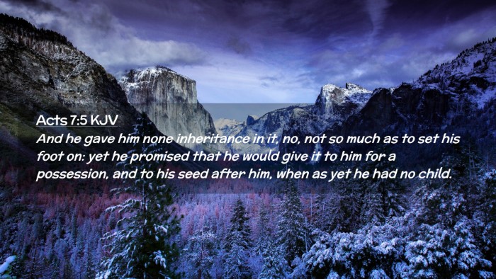 Picture 02 - Acts 7:5 KJV Desktop Wallpaper - And he gave him none inheritance in it, no, not - Desktop Bible Verse Wallpaper