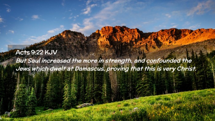 Picture 02 - Acts 9:22 KJV Desktop Wallpaper - But Saul increased the more in strength, and - Desktop Bible Verse Wallpaper
