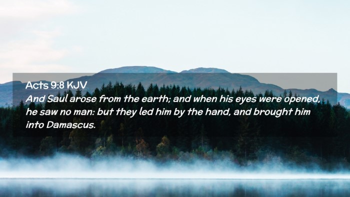 Picture 02 - Acts 9:8 KJV Desktop Wallpaper - And Saul arose from the earth; and when his eyes - Desktop Bible Verse Wallpaper
